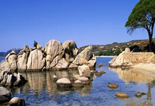 JJB-CBA季后赛赛后再迎强敌；萨克拉门托国王官宣签约；主帅态度——更衣室稳定；高层口径保持一致的简单介绍